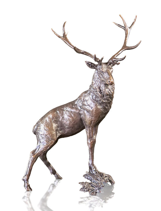 Richard Cooper Solid Bronze Sculptures - Wildlife