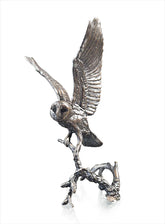 Richard Cooper Barn Owl with Pinecones 1189