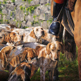 His Master's Voice by animal artist Anthony Dobson