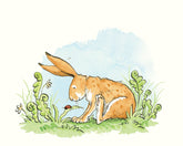 Anita Jeram Guess how much I love you limited edition ladybird
