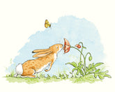 Anita Jeram Guess how much I love you poppy