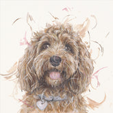 Aaminah Snowdon The Golden Child