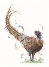 Aaminah Snowdon Suited and Booted