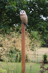Bronze Owl perched on a steel post with greenery in the background