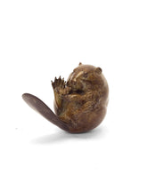Bronze sculpture of a beaver curled up on a white background