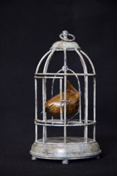 Bronze sculpture of birdcage with a wren bird inside on a black background