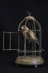 Bronze birdcage with a bird inside on a black background