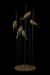 Bronze sculpture of five birds on a stand against a black background