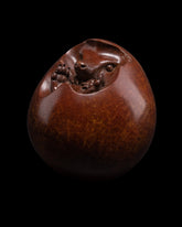 Small bronze hedgehog curled up in a ball