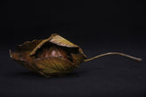 Bronze mouse sleeping inside a yellow leaf sculpture