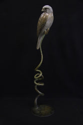 Bronze sculpture of a kestrel perched on a coiled base against a black background
