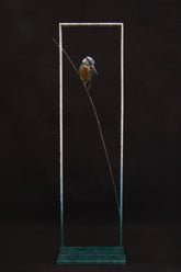 Bird perched on a branch on a frame on a black background