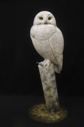 Bronze sculpture of white owl perched on a cylindrical metal stand against a black background