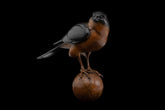Bronze sculpture of Bird perched on a ball against a black background