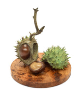 Bronze sculpture of double conker on wooden base.