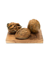 Bronze sculpture of walnut on wooden base