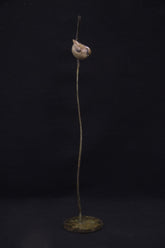 Adam Binder Long Tailed Tit