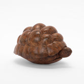 Adam Binder Tortoise Sculpture