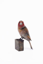 Adam Binder Wall Mounted Goldfinch Sculpture