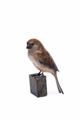 Adam Binder Wall Mounted Sparrow Sculpture