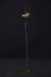 Adam Binder Wren on Twigs Sculpture