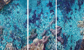 Antonio Sannino Into the Blue (Triptych)