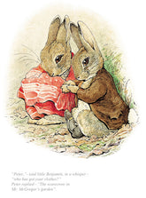 Beatrix Potter-Peter, Who Has Got Your Clothes? | Official Collectors Edition | Free UK Delivery