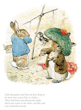 Beatrix Potter-The First Thing Was To Get Peter's Clothes | Official Collectors Edition | Free UK Delivery