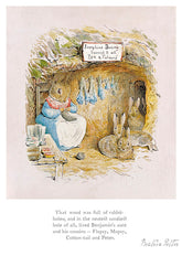 That Wood was Full of Rabbit Holes