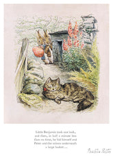 Little Benjamin Took One Look by illustrator Beatrix Potter