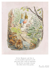 Benjamin Said It Was Not Possible by illustrator Beatrix Potter