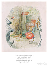 They got Amongst Flower Pots by illustrator Beatrix Potter