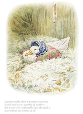 Beatrix Potter-Jemima Was Surprised To Find A Quantity Of Feathers | Official Collector's Edition | Free UK Delivery