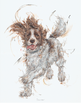 Bounder Aaminah Snowdon