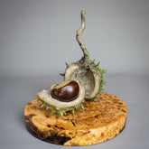 Conker Sculpture by Adam Paddon