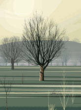 Dan Crisp Morning Shadows