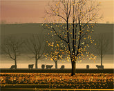 Morning Mist Dan Crisp