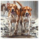 Boxing Day by animal artist Anthony Dobson