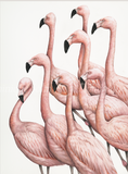 Dominique Salm Decisions Decision flamingos limited edition art print