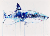 Artistic depiction of a shark with blue and white colours on a light background