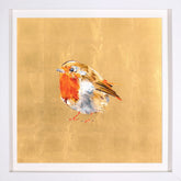 Dave White Robin Framed