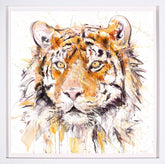 Dave White Tiger III Framed