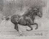 sketch of horse galloping