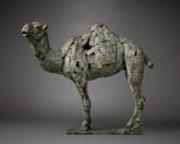 Fred-Gordon-Dromedary-Camel