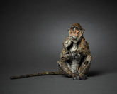 Fred Gordon Sitting Macaque