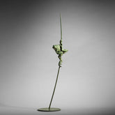 Fred Gordon Tree Frog