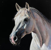 artwork of white horse on a dark background.