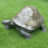 GP Galapagos Tortoise III