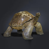 GP Galapagos Tortoise Sculpture