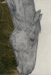 GA Grazing Horse Study
